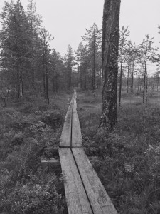 014ec6559bad7217845d2c50a23ad3a7598aeb3553